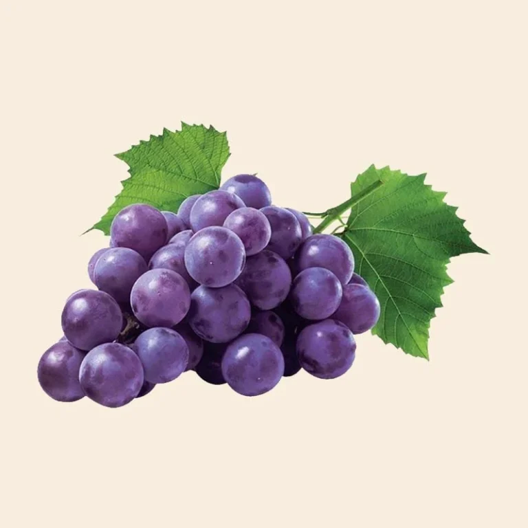Grapeseed