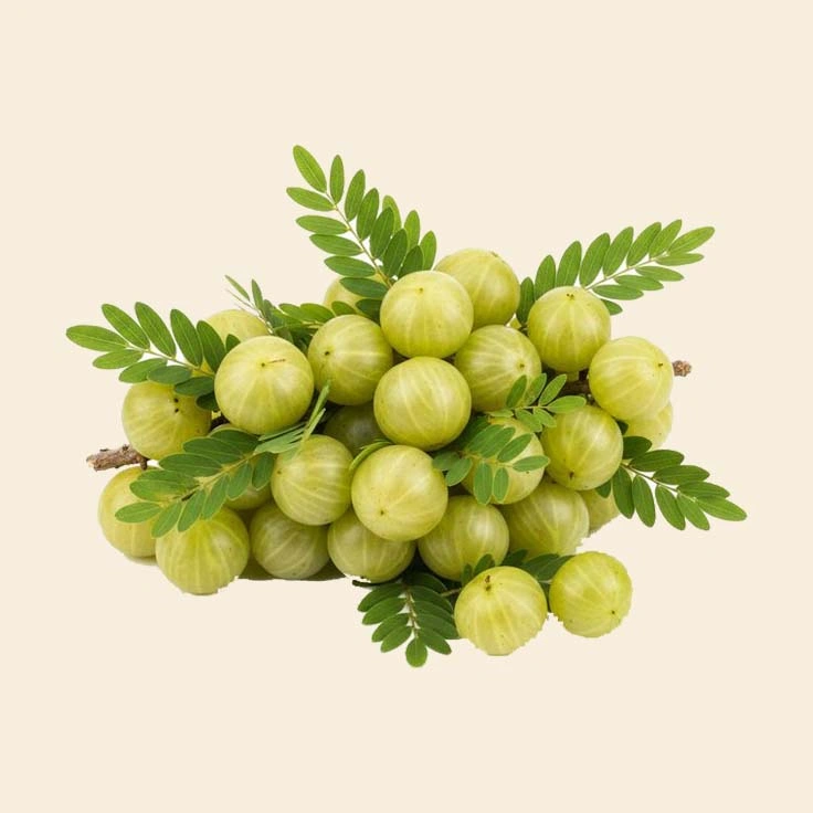 amla oil