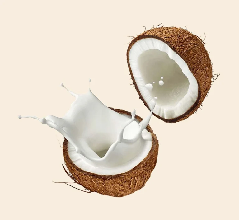 coconut oil